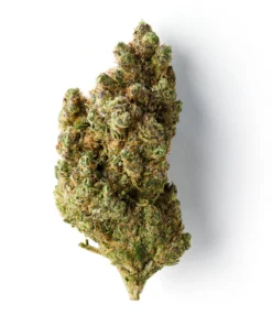 Buy Maui CBD Flower