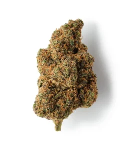 Buy Tropical Dream CBD Flower