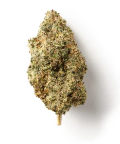 Buy Legendary Skunk CBD Flower