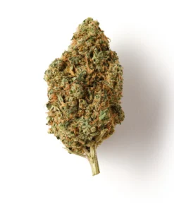 Buy Solero Cream CBD Flower