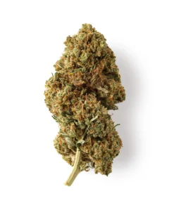 Buy White Rhino CBD Flower |