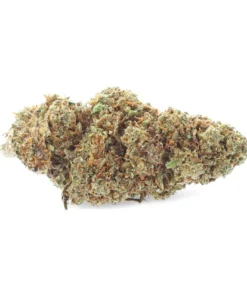Alternative view of Buy Harlequin 2.0 CBD Flowers
